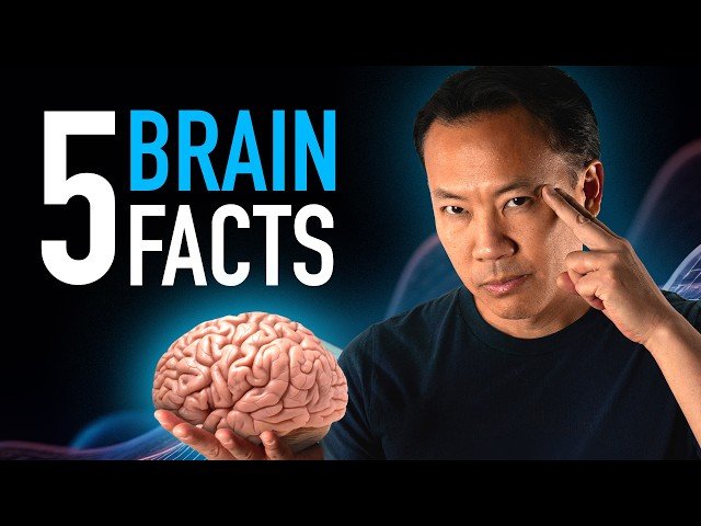Mind-Blowing Facts You Didn’t Know About the Human Brain in 2025